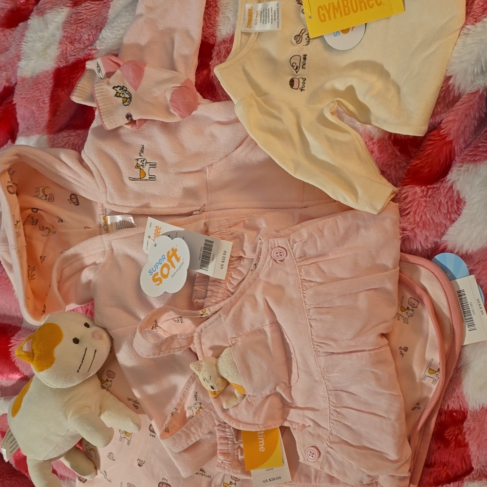 OOP HTF LTD ED GYMBOREE 6 PC Matching Pink Outfit Set Blankie $100+ 0-3 Mos